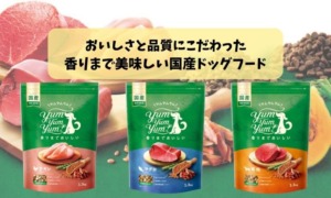 yumyumyum名古屋取扱店_トップ