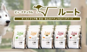 ビィ・ナチュラル正規取扱店