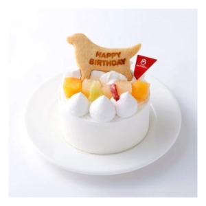 cake_009
