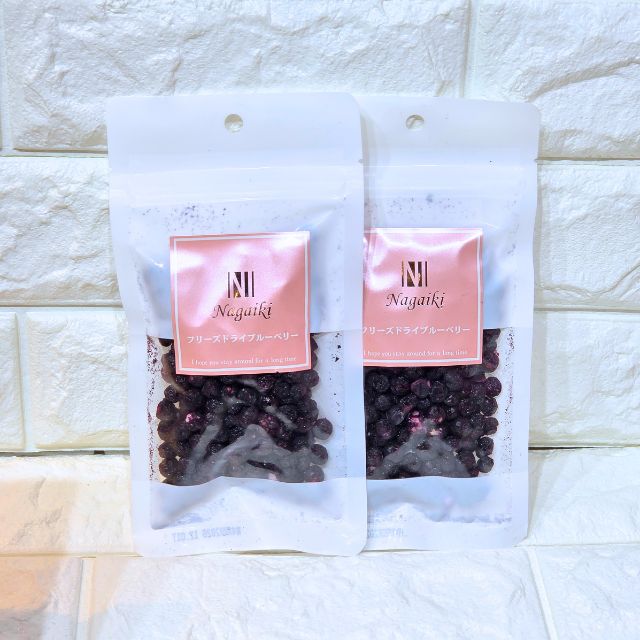 Nagaiki フリーズドライ ブルーベリー 15g｜ペット 犬用 目 眼の健康 おやつ